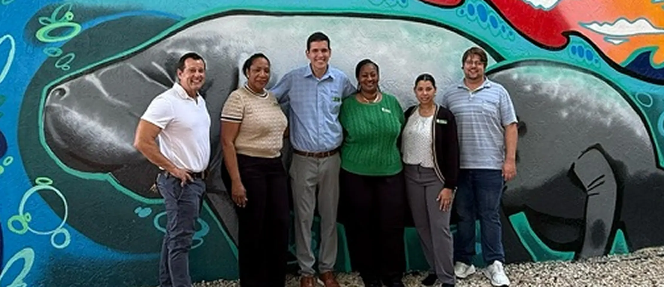 Fallback background image